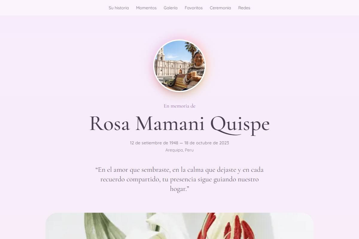 Plantilla Aurora